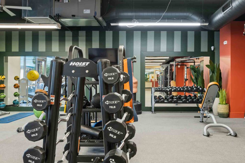 A gym with a rack of dumbbells in the foreground, exercise machines, benches, mirrors, and colorful walls in the background. The space is well-lit and organized.