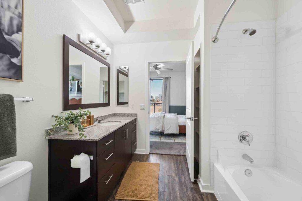 Modern bathroom with a dark wood vanity, granite countertop, and a large mirror. White bathtub with shower, brown rug, potted plant, and a view into a bedroom with cityscape visible through a window.