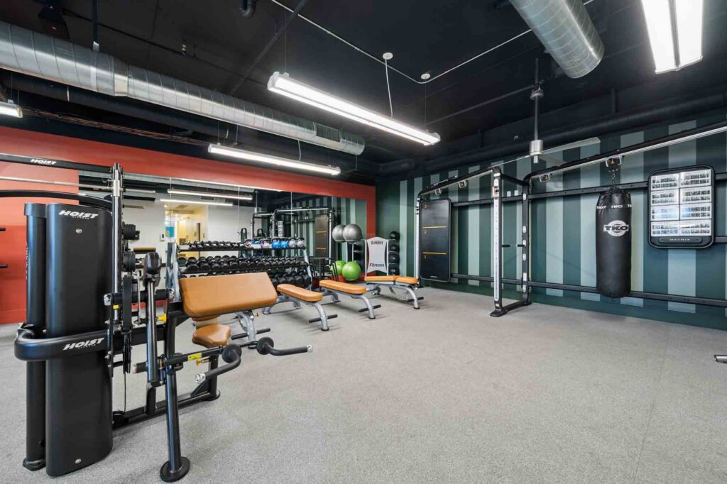 Modern gym with weight machines, benches, dumbbells, exercise balls, a punching bag, and a cable station. The room has striped green walls, grey carpeting, and exposed ceiling pipes.