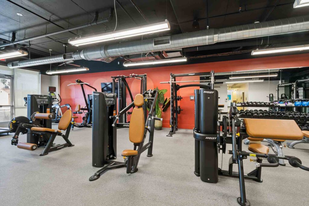 A modern gym with various exercise machines, free weights, and brown padded seats. There are mirrors on the wall and a large plant near the red accent wall. Bright overhead lights illuminate the clean space.