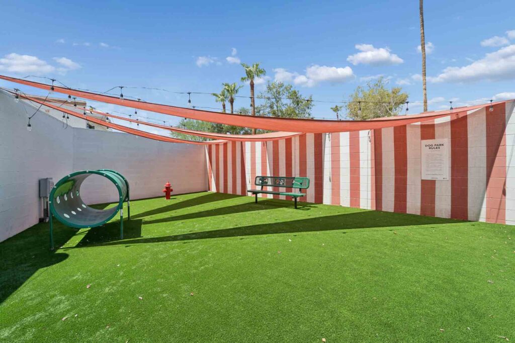 Outdoor dog park with artificial grass, a green tunnel, a bench, a red fire hydrant, and red-and-white striped walls. String lights hang above, and palm trees are visible beyond the park.