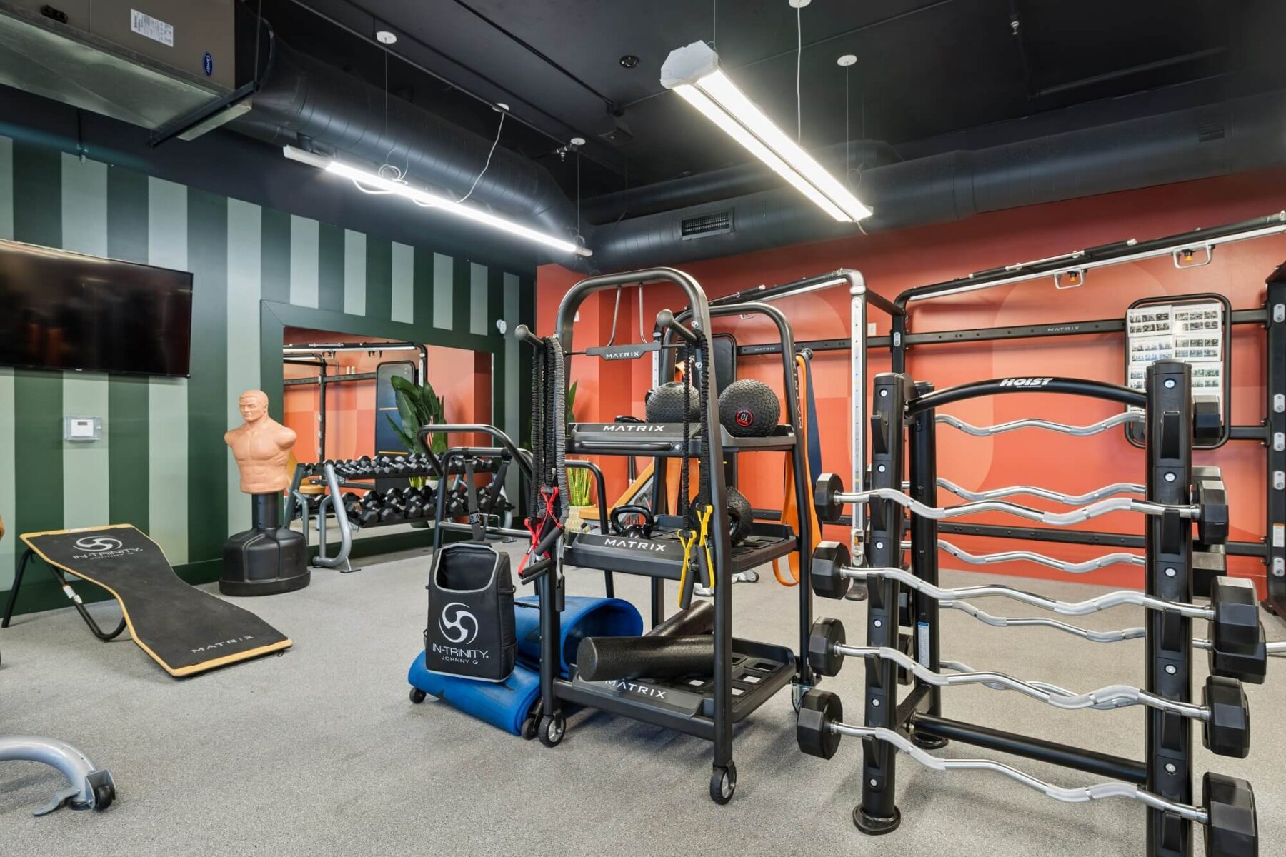 A modern gym room with striped walls, weight racks, barbells, kettlebells, a slam ball, a stationary mannequin, a TV, and various fitness equipment organized neatly on shelves.